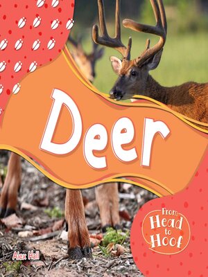 cover image of Deer